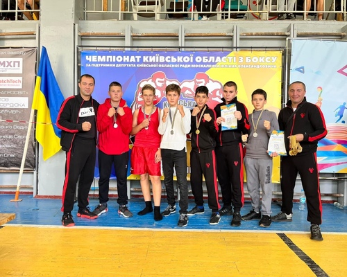 Чемпіонати по боксу